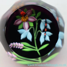 Load image into Gallery viewer, Vintage Limited Edition 1988 Caithness Paperweight NATURE STUDY by William Manson
