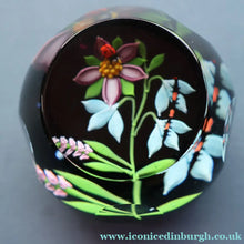 Load image into Gallery viewer, Vintage Limited Edition 1988 Caithness Paperweight NATURE STUDY by William Manson
