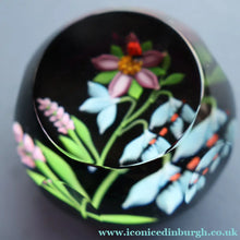 Load image into Gallery viewer, Vintage Limited Edition 1988 Caithness Paperweight NATURE STUDY by William Manson
