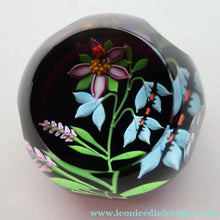 Load image into Gallery viewer, Vintage Limited Edition 1988 Caithness Paperweight NATURE STUDY by William Manson
