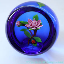 Load image into Gallery viewer, Vintage LIMITED EDITION 1988 Caithness Glass Paperweight. Entitled "Rose and Ladybird" by William Manson
