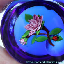Load image into Gallery viewer, Vintage LIMITED EDITION 1988 Caithness Glass Paperweight. Entitled "Rose and Ladybird" by William Manson
