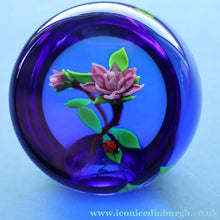 Load image into Gallery viewer, Vintage LIMITED EDITION 1988 Caithness Glass Paperweight. Entitled "Rose and Ladybird" by William Manson
