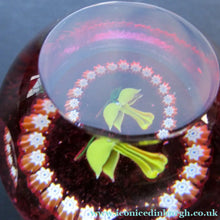 Load image into Gallery viewer, Caithness Glass Miniature Paperweight. Scottish Glass Daffodil
