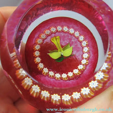 Load image into Gallery viewer, Caithness Glass Miniature Paperweight. Scottish Glass Daffodil
