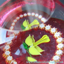 Load image into Gallery viewer, Caithness Glass Miniature Paperweight. Scottish Glass Daffodil
