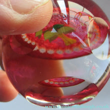 Load image into Gallery viewer, Caithness Glass Miniature Paperweight. Scottish Glass Daffodil
