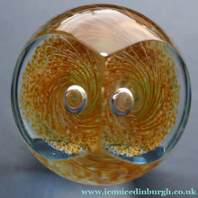 Load image into Gallery viewer, Fabulous LIMITED EDITION Scottish Caithness Glass Paperweight: TAWNY OWL by Alastair MacIntosh, 1989
