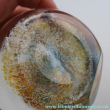Load image into Gallery viewer, Fabulous LIMITED EDITION Scottish Caithness Glass Paperweight: TAWNY OWL by Alastair MacIntosh, 1989
