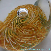 Load image into Gallery viewer, Fabulous LIMITED EDITION Scottish Caithness Glass Paperweight: TAWNY OWL by Alastair MacIntosh, 1989

