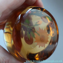 Load image into Gallery viewer, Vintage LIMITED EDITION 1990 Caithness Glass Paperweight. Entitled "Daisy and Ladybird" by William Manson
