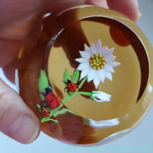 Load image into Gallery viewer, Vintage LIMITED EDITION 1990 Caithness Glass Paperweight. Entitled "Daisy and Ladybird" by William Manson
