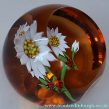 Load image into Gallery viewer, Vintage LIMITED EDITION 1990 Caithness Glass Paperweight. Entitled "Daisy and Ladybird" by William Manson
