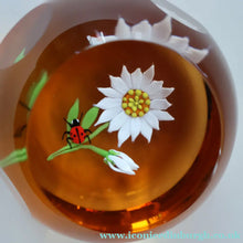 Load image into Gallery viewer, Vintage LIMITED EDITION 1990 Caithness Glass Paperweight. Entitled "Daisy and Ladybird" by William Manson
