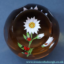 Load image into Gallery viewer, Vintage LIMITED EDITION 1990 Caithness Glass Paperweight. Entitled "Daisy and Ladybird" by William Manson
