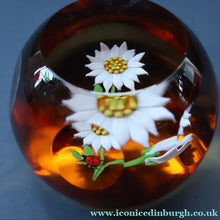 Load image into Gallery viewer, Vintage LIMITED EDITION 1990 Caithness Glass Paperweight. Entitled "Daisy and Ladybird" by William Manson
