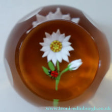 Load image into Gallery viewer, Vintage LIMITED EDITION 1990 Caithness Glass Paperweight. Entitled "Daisy and Ladybird" by William Manson
