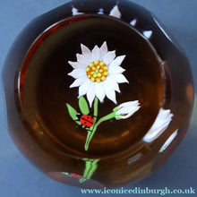 Load image into Gallery viewer, Vintage LIMITED EDITION 1990 Caithness Glass Paperweight. Entitled "Daisy and Ladybird" by William Manson
