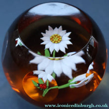 Load image into Gallery viewer, Vintage LIMITED EDITION 1990 Caithness Glass Paperweight. Entitled "Daisy and Ladybird" by William Manson

