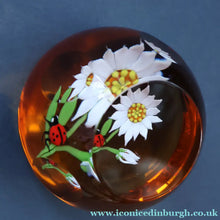 Load image into Gallery viewer, Vintage LIMITED EDITION 1990 Caithness Glass Paperweight. Entitled "Daisy and Ladybird" by William Manson
