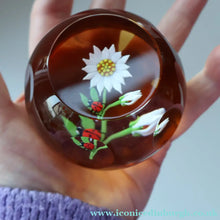 Load image into Gallery viewer, Vintage LIMITED EDITION 1990 Caithness Glass Paperweight. Entitled "Daisy and Ladybird" by William Manson
