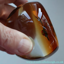 Load image into Gallery viewer, Vintage LIMITED EDITION 1990 Caithness Glass Paperweight. Entitled "Daisy and Ladybird" by William Manson
