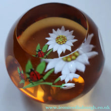 Load image into Gallery viewer, Vintage LIMITED EDITION 1990 Caithness Glass Paperweight. Entitled "Daisy and Ladybird" by William Manson
