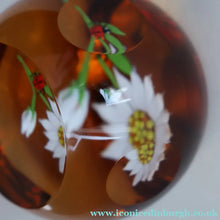 Load image into Gallery viewer, Vintage LIMITED EDITION 1990 Caithness Glass Paperweight. Entitled "Daisy and Ladybird" by William Manson
