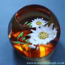 Load image into Gallery viewer, Vintage LIMITED EDITION 1990 Caithness Glass Paperweight. Entitled "Daisy and Ladybird" by William Manson
