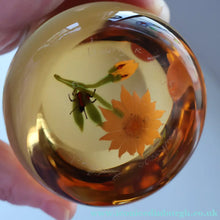 Load image into Gallery viewer, Vintage LIMITED EDITION 1990 Caithness Glass Paperweight. Entitled "Daisy and Ladybird" by William Manson
