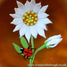 Load image into Gallery viewer, Vintage LIMITED EDITION 1990 Caithness Glass Paperweight. Entitled "Daisy and Ladybird" by William Manson
