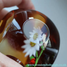 Load image into Gallery viewer, Vintage LIMITED EDITION 1990 Caithness Glass Paperweight. Entitled "Daisy and Ladybird" by William Manson

