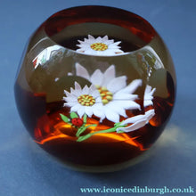 Load image into Gallery viewer, Vintage LIMITED EDITION 1990 Caithness Glass Paperweight. Entitled "Daisy and Ladybird" by William Manson
