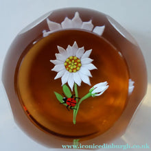 Load image into Gallery viewer, Vintage LIMITED EDITION 1990 Caithness Glass Paperweight. Entitled "Daisy and Ladybird" by William Manson
