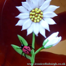 Load image into Gallery viewer, SCOTTISH Limited Edition 1990 Caithness Paperweight DAISY &amp; LADYBIRD by William Manson. Signed to the base
