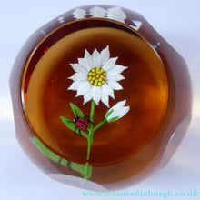 Load image into Gallery viewer, SCOTTISH Limited Edition 1990 Caithness Paperweight DAISY &amp; LADYBIRD by William Manson. Signed to the base
