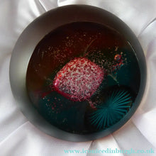 Load image into Gallery viewer, SCOTTISH PAPERWEIGHTS. PAIR of Boxed Vintage Caithness Paperweights. Alpha and Omega. LIMITED EDITION of 150
