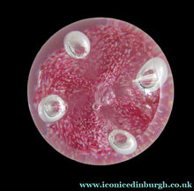 Load image into Gallery viewer, SCOTTISH PAPERWEIGHT: Vintage Caithness Paperweight: MOONFLOWER by Colin Terris. Pink Version
