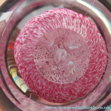 Load image into Gallery viewer, SCOTTISH PAPERWEIGHT: Vintage Caithness Paperweight: MOONFLOWER by Colin Terris. Pink Version
