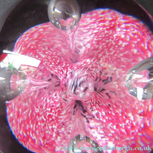 Load image into Gallery viewer, SCOTTISH PAPERWEIGHT: Vintage Caithness Paperweight: MOONFLOWER by Colin Terris. Pink Version
