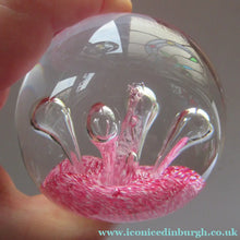 Load image into Gallery viewer, SCOTTISH PAPERWEIGHT: Vintage Caithness Paperweight: MOONFLOWER by Colin Terris. Pink Version
