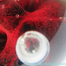 Load image into Gallery viewer, SCOTTISH PAPERWEIGHT: Vintage Caithness Paperweight: MOONFLOWER by Colin Terris. Red Version
