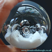 Load image into Gallery viewer, SCOTTISH PAPERWEIGHT: Vintage Caithness Paperweight: MOONFLOWER by Colin Terris. White Version

