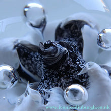 Load image into Gallery viewer, SCOTTISH PAPERWEIGHT: Vintage Caithness Paperweight: MOONFLOWER by Colin Terris. White Version
