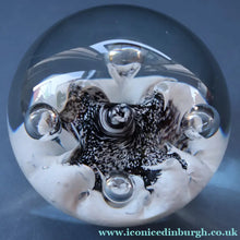 Load image into Gallery viewer, SCOTTISH PAPERWEIGHT: Vintage Caithness Paperweight: MOONFLOWER by Colin Terris. White Version
