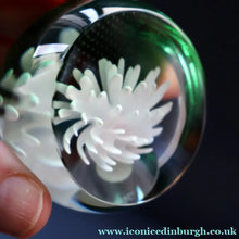 Load image into Gallery viewer, SCOTTISH PAPERWEIGHT: Vintage 1990s Caithness Paperweight: WHITE ASTER (B)
