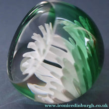 Load image into Gallery viewer, SCOTTISH PAPERWEIGHT: Vintage 1990s Caithness Paperweight: WHITE ASTER (B)
