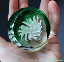 Load image into Gallery viewer, SCOTTISH PAPERWEIGHT: Vintage 1990s Caithness Paperweight: WHITE ASTER (B)
