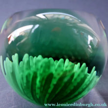 Load image into Gallery viewer, SCOTTISH PAPERWEIGHT: Vintage 1990s Caithness Paperweight: WHITE ASTER (B)
