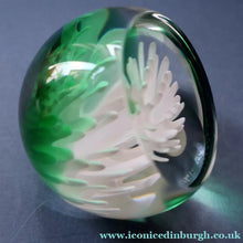 Load image into Gallery viewer, SCOTTISH PAPERWEIGHT: Vintage 1990s Caithness Paperweight: WHITE ASTER (B)
